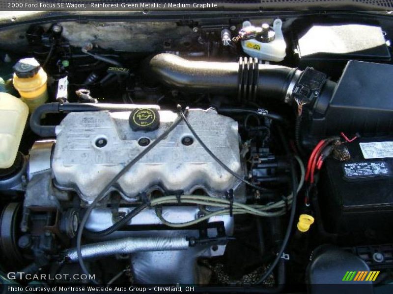 Rainforest Green Metallic / Medium Graphite 2000 Ford Focus SE Wagon