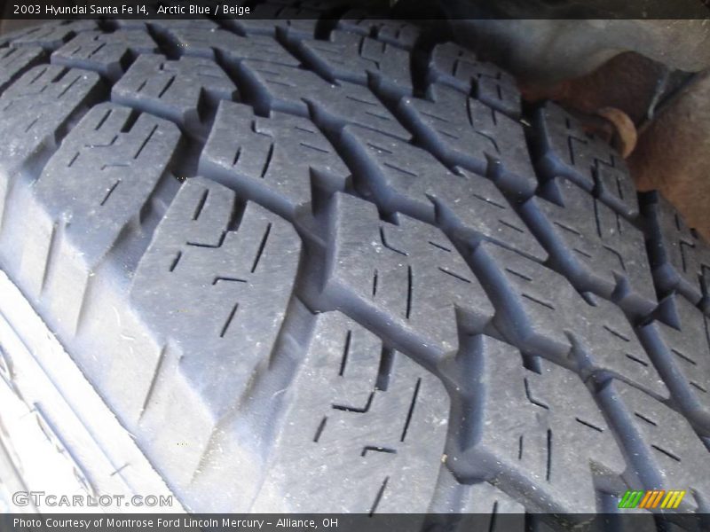 Arctic Blue / Beige 2003 Hyundai Santa Fe I4