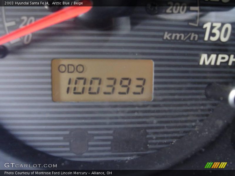 Arctic Blue / Beige 2003 Hyundai Santa Fe I4