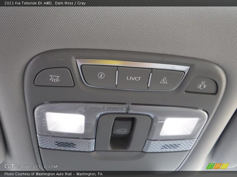 Dark Moss / Gray 2021 Kia Telluride EX AWD