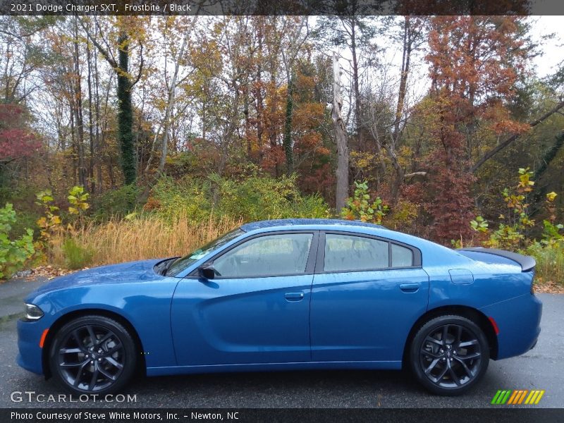 Frostbite / Black 2021 Dodge Charger SXT