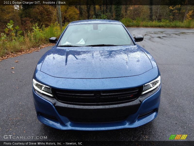 Frostbite / Black 2021 Dodge Charger SXT