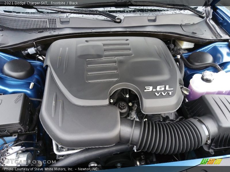 Frostbite / Black 2021 Dodge Charger SXT