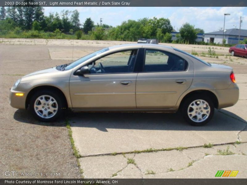 Light Almond Pearl Metallic / Dark Slate Gray 2003 Dodge Neon SXT