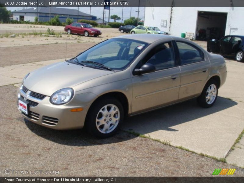 Light Almond Pearl Metallic / Dark Slate Gray 2003 Dodge Neon SXT