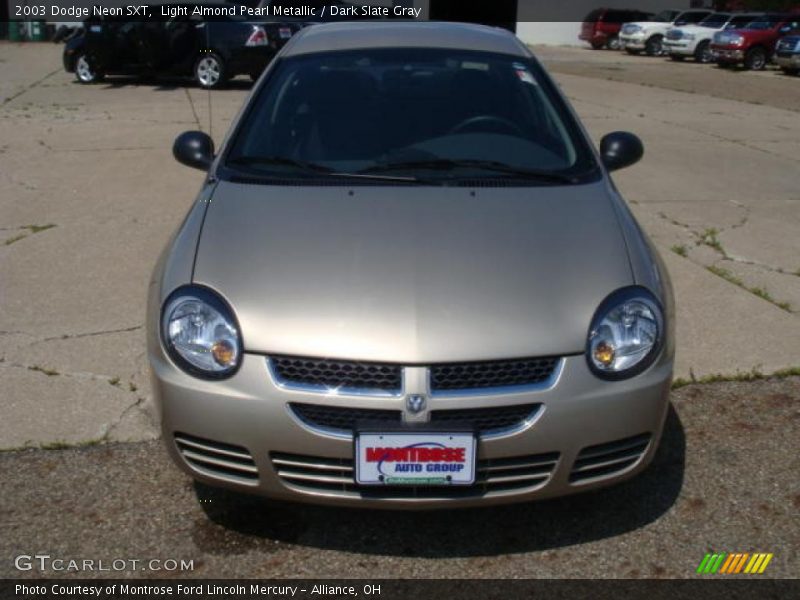 Light Almond Pearl Metallic / Dark Slate Gray 2003 Dodge Neon SXT