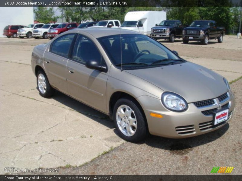 Light Almond Pearl Metallic / Dark Slate Gray 2003 Dodge Neon SXT