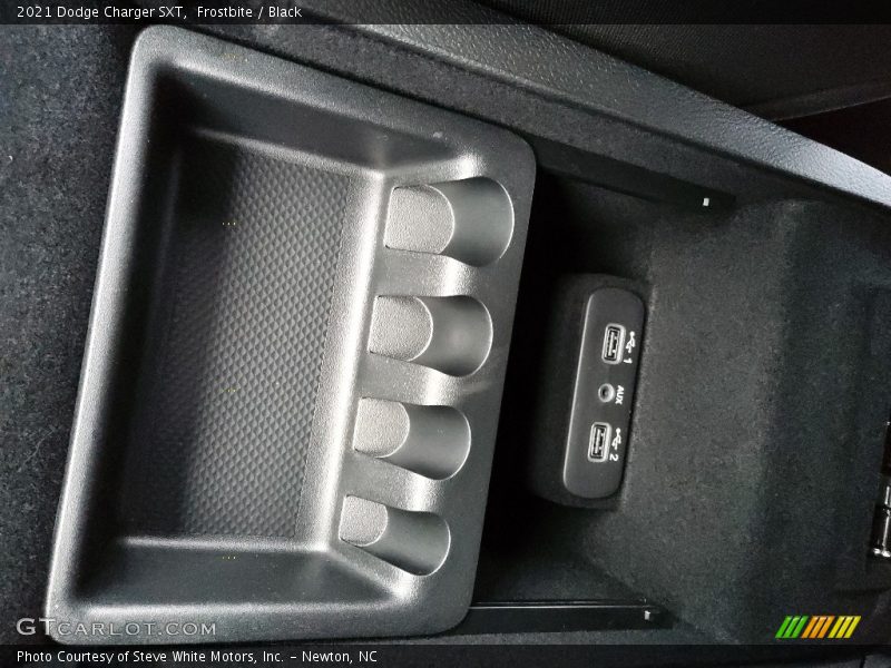 Frostbite / Black 2021 Dodge Charger SXT