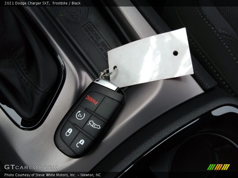 Frostbite / Black 2021 Dodge Charger SXT