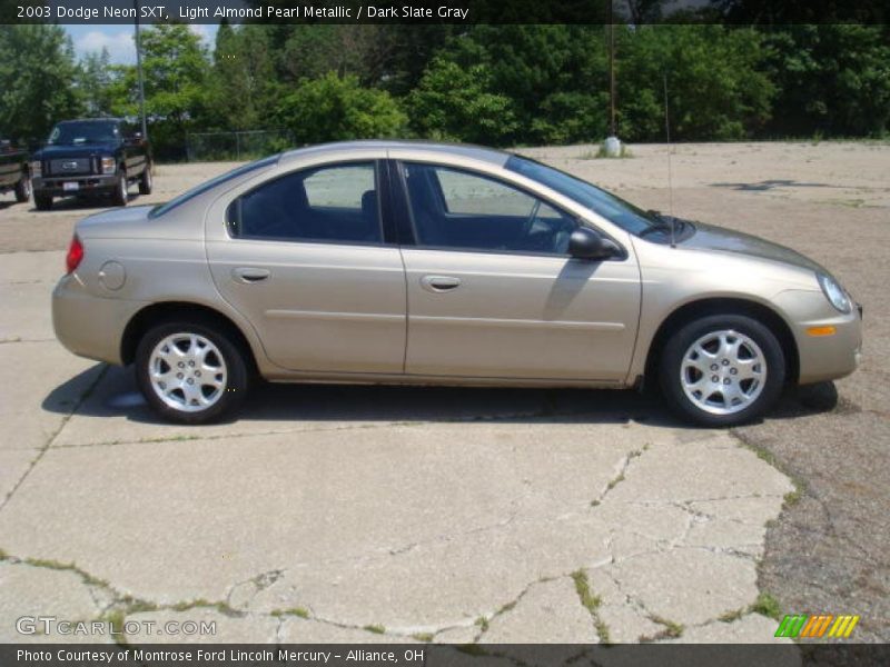 Light Almond Pearl Metallic / Dark Slate Gray 2003 Dodge Neon SXT