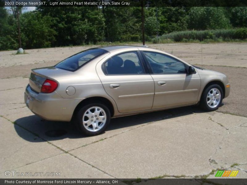 Light Almond Pearl Metallic / Dark Slate Gray 2003 Dodge Neon SXT