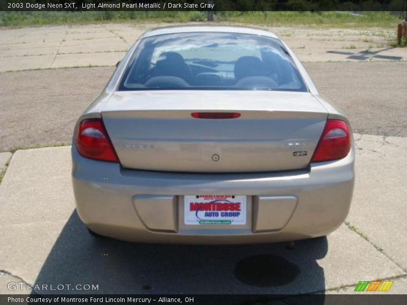 Light Almond Pearl Metallic / Dark Slate Gray 2003 Dodge Neon SXT