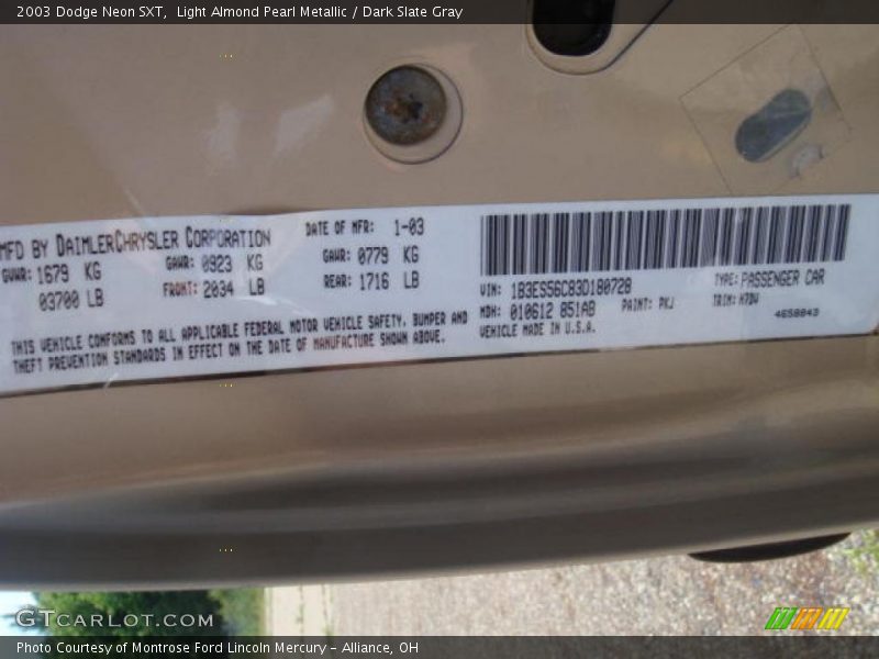 Light Almond Pearl Metallic / Dark Slate Gray 2003 Dodge Neon SXT