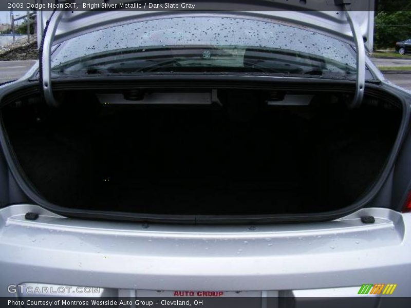 Bright Silver Metallic / Dark Slate Gray 2003 Dodge Neon SXT