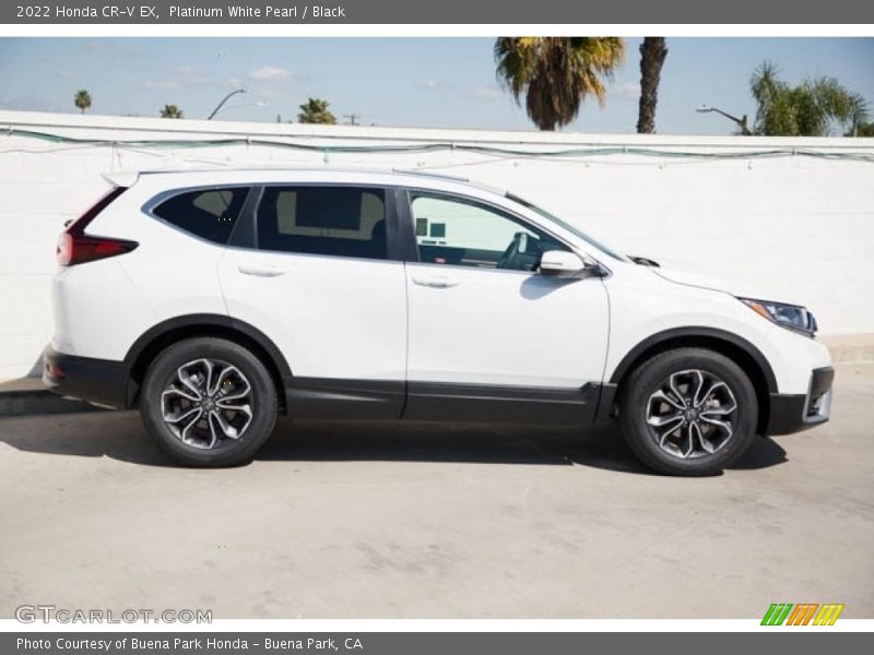 Platinum White Pearl / Black 2022 Honda CR-V EX