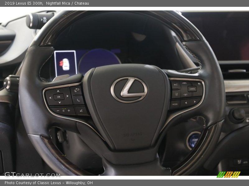  2019 ES 300h Steering Wheel