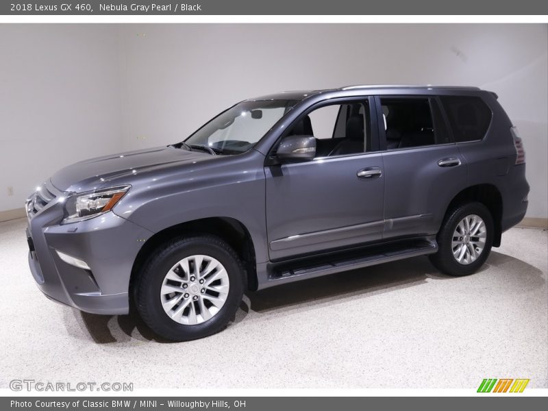 Nebula Gray Pearl / Black 2018 Lexus GX 460
