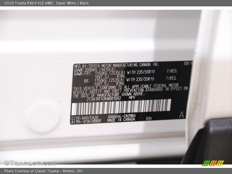 Super White / Black 2019 Toyota RAV4 XLE AWD