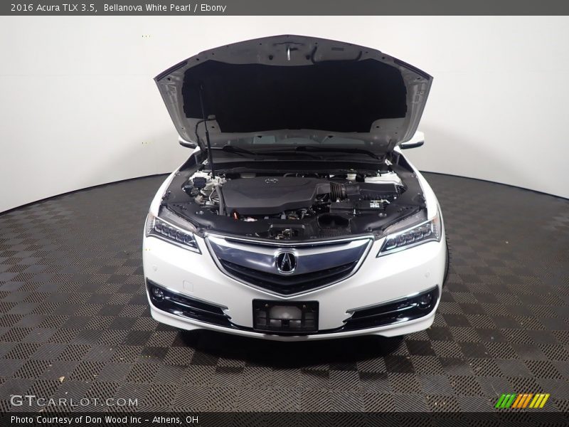 Bellanova White Pearl / Ebony 2016 Acura TLX 3.5