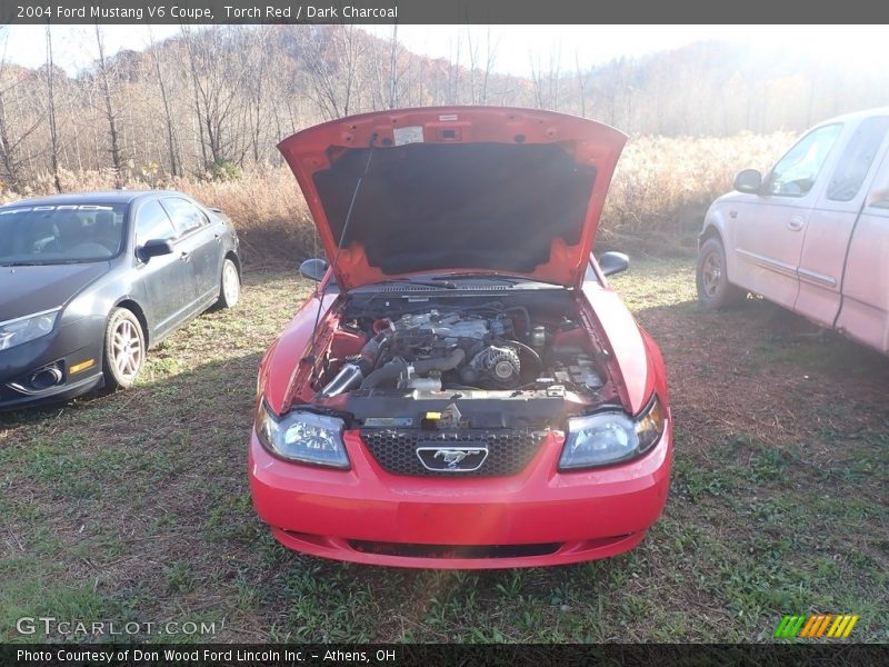 Torch Red / Dark Charcoal 2004 Ford Mustang V6 Coupe