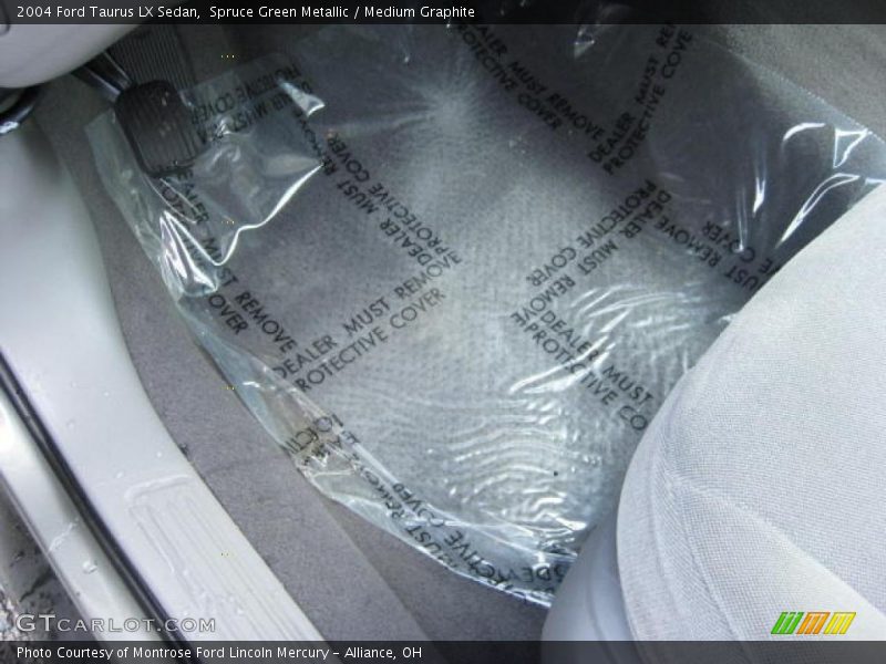 Spruce Green Metallic / Medium Graphite 2004 Ford Taurus LX Sedan