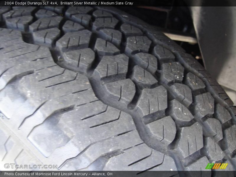 Brilliant Silver Metallic / Medium Slate Gray 2004 Dodge Durango SLT 4x4