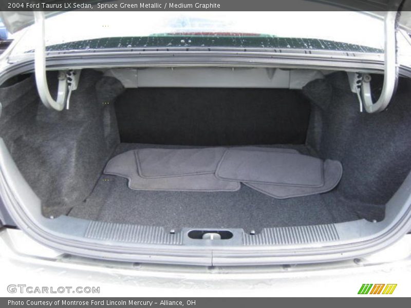 Spruce Green Metallic / Medium Graphite 2004 Ford Taurus LX Sedan