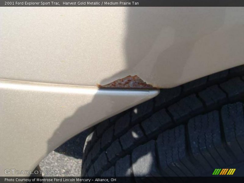 Harvest Gold Metallic / Medium Prairie Tan 2001 Ford Explorer Sport Trac