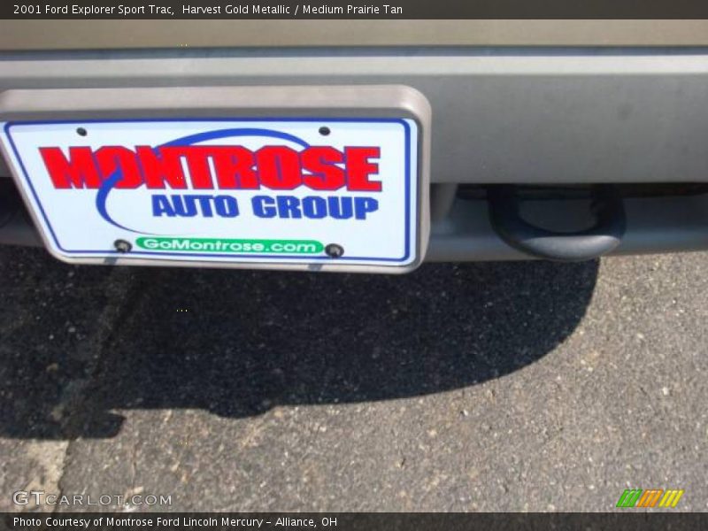 Harvest Gold Metallic / Medium Prairie Tan 2001 Ford Explorer Sport Trac