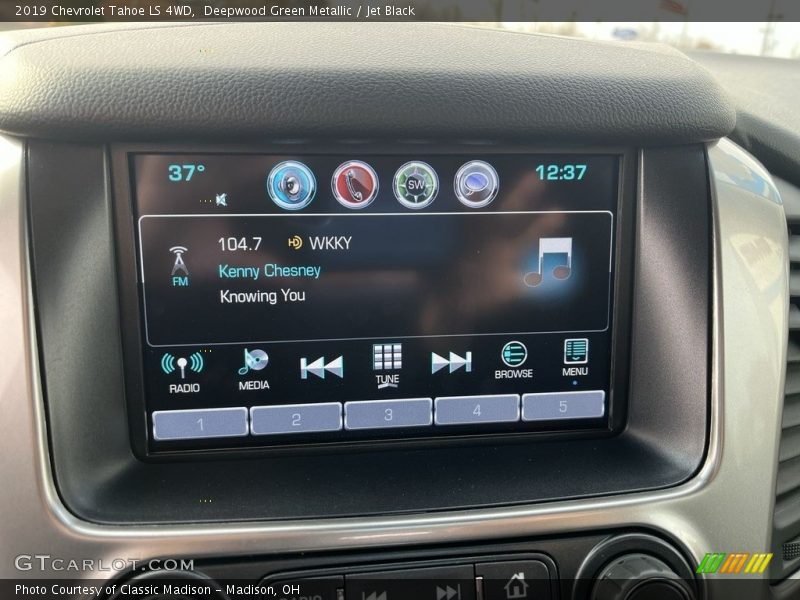 Deepwood Green Metallic / Jet Black 2019 Chevrolet Tahoe LS 4WD