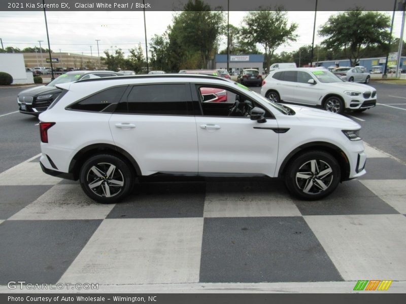 Glacial White Pearl / Black 2021 Kia Sorento EX