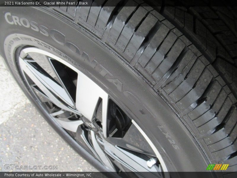 Glacial White Pearl / Black 2021 Kia Sorento EX