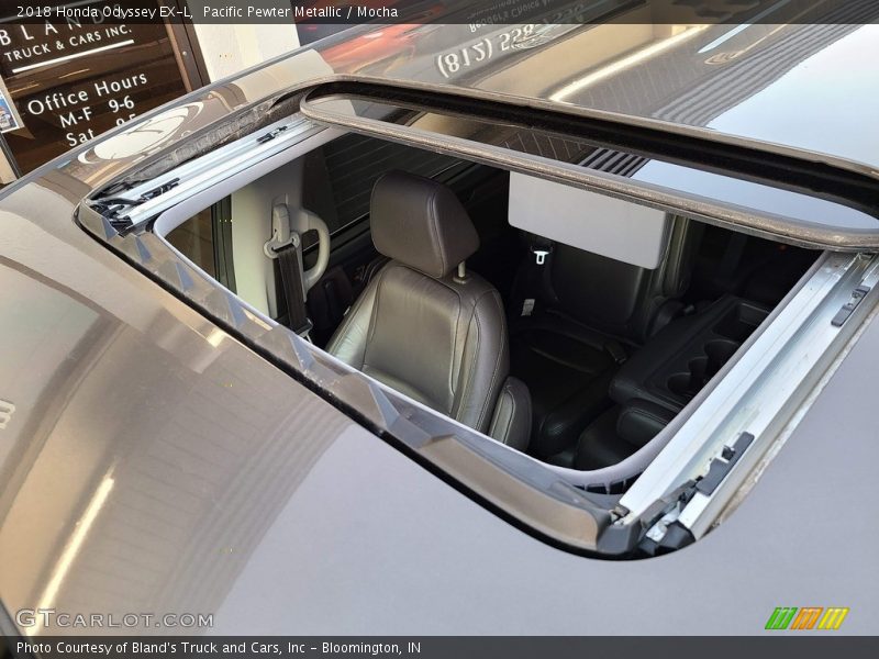 Pacific Pewter Metallic / Mocha 2018 Honda Odyssey EX-L