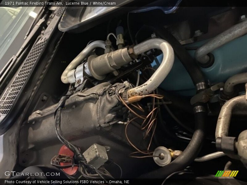 Lucerne Blue / White/Cream 1971 Pontiac Firebird Trans Am