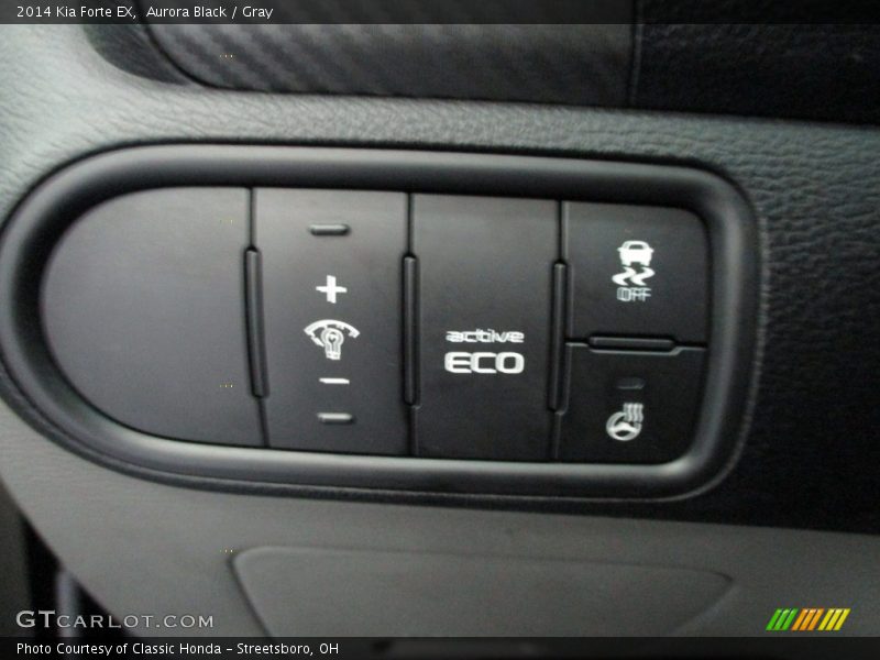 Aurora Black / Gray 2014 Kia Forte EX