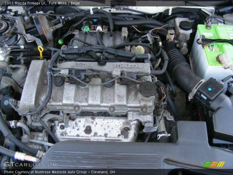 Pure White / Beige 2001 Mazda Protege LX