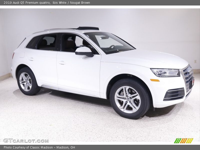 Ibis White / Nougat Brown 2019 Audi Q5 Premium quattro