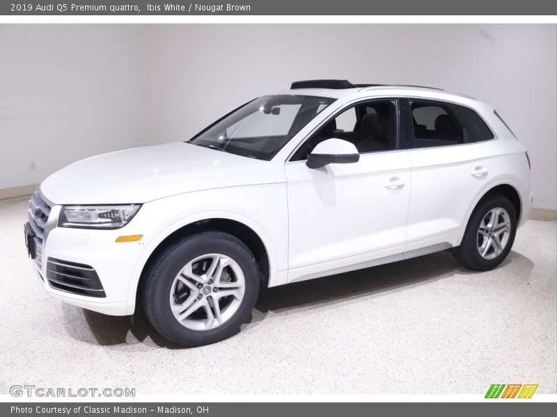 Ibis White / Nougat Brown 2019 Audi Q5 Premium quattro