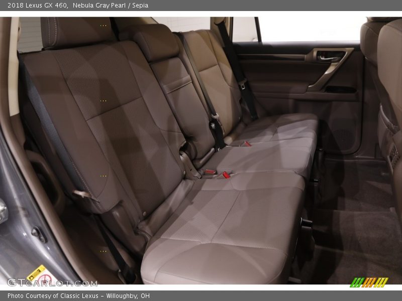 Nebula Gray Pearl / Sepia 2018 Lexus GX 460