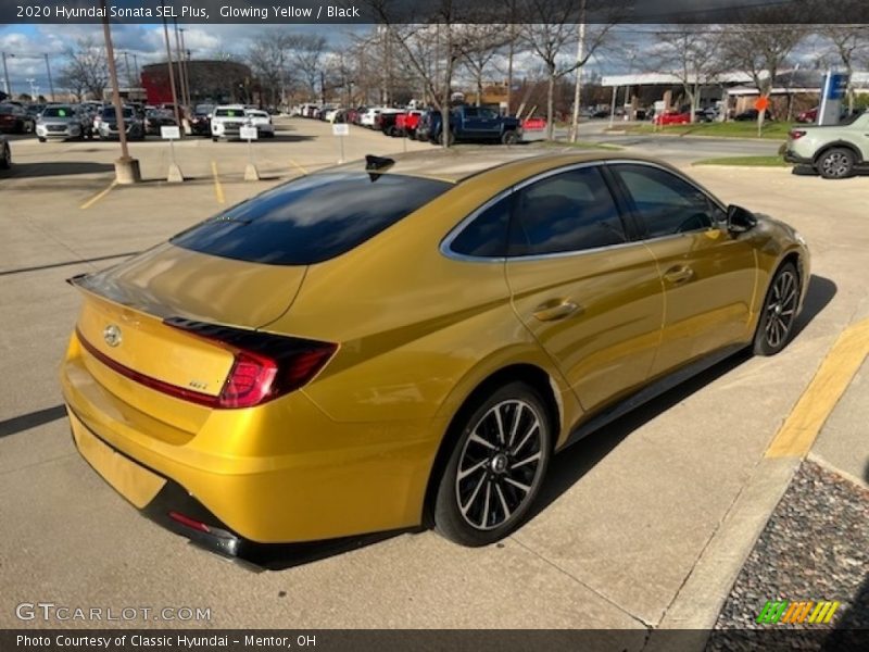 Glowing Yellow / Black 2020 Hyundai Sonata SEL Plus