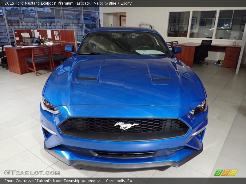 Velocity Blue / Ebony 2019 Ford Mustang EcoBoost Premium Fastback