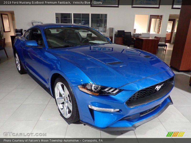 Velocity Blue / Ebony 2019 Ford Mustang EcoBoost Premium Fastback