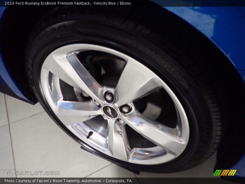 Velocity Blue / Ebony 2019 Ford Mustang EcoBoost Premium Fastback