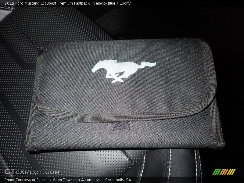 Velocity Blue / Ebony 2019 Ford Mustang EcoBoost Premium Fastback
