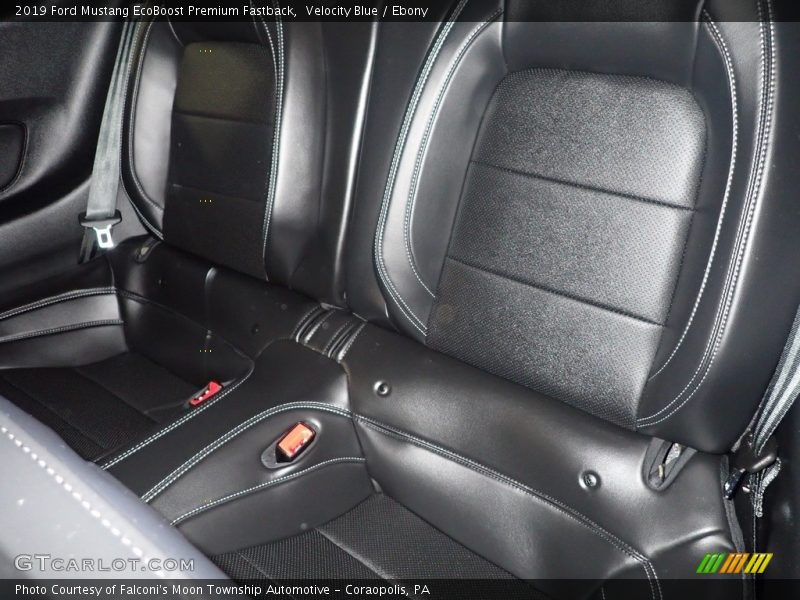 Velocity Blue / Ebony 2019 Ford Mustang EcoBoost Premium Fastback