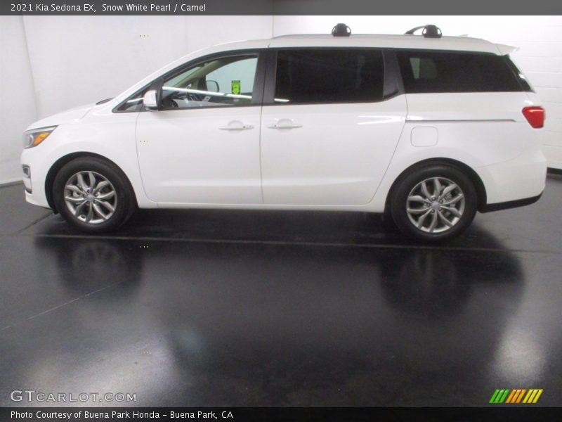Snow White Pearl / Camel 2021 Kia Sedona EX