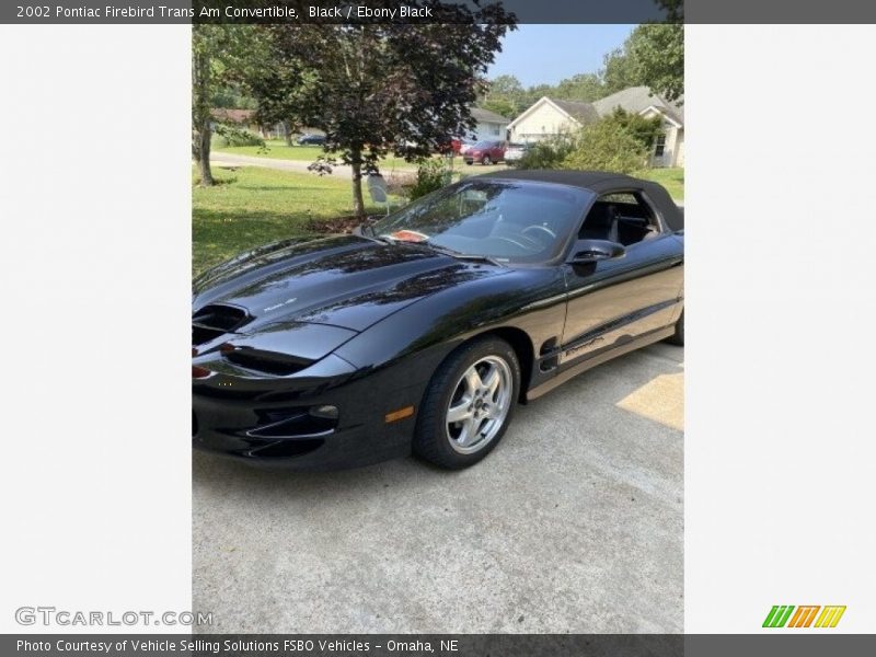 Black / Ebony Black 2002 Pontiac Firebird Trans Am Convertible