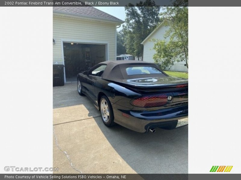 Black / Ebony Black 2002 Pontiac Firebird Trans Am Convertible