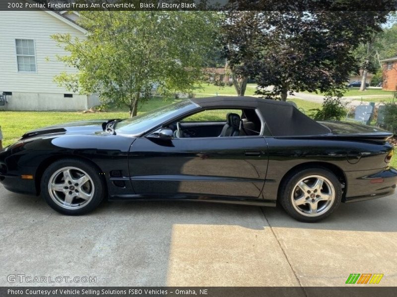 Black / Ebony Black 2002 Pontiac Firebird Trans Am Convertible