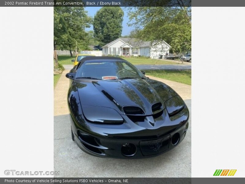 Black / Ebony Black 2002 Pontiac Firebird Trans Am Convertible